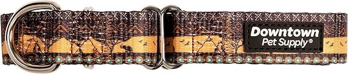 Downtown Pet Supply - Martingale Collar for Dogs - Dog Training Collar - Big, Wide & Thick Dog Collar - Escape-Proof, Weatherproof, Durable and Comfortable - Sahara - Small Dog Collar
