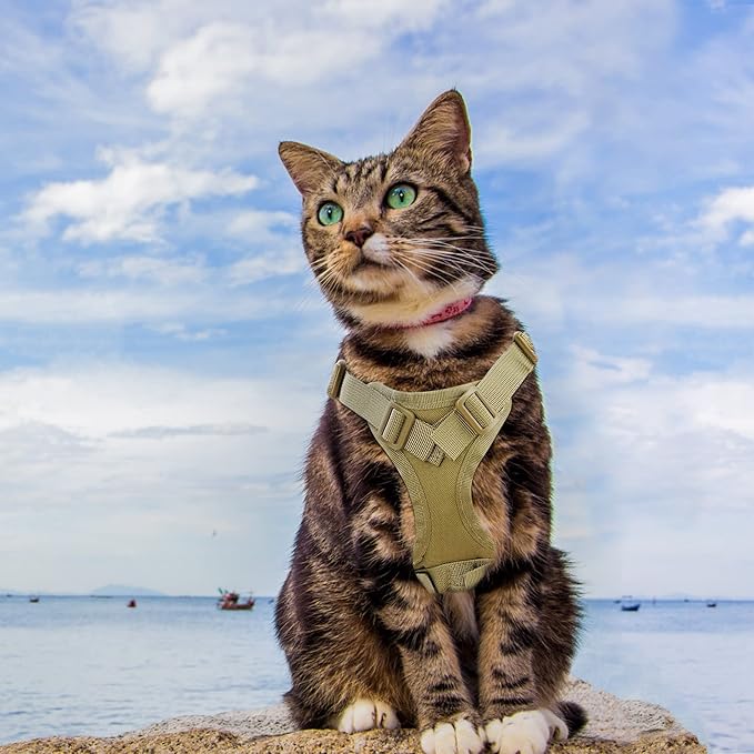 Cat Harness and Leash for Walking, Escape Proof Soft Adjustable Vest Harnesses for Cats, Easy Control Breathable Soft Mesh with Control Handle for Large Cat Small Dog, Gift with Patch
