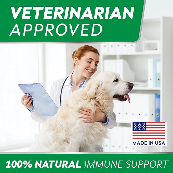 STRELLALAB Dog Allergy Relief & Anti Itch Support Chews w/Omega 3: Real Ingredients, Real Taste! Skin & Coat Immune Supplement w/Fish Oil, Pumpkin & Enzymes - Made in USA - 9.3 oz