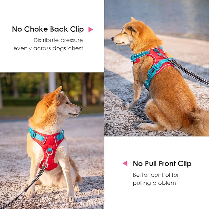 PHOEPET No Pull Dog Harness, Unique Colors Reflective Adjustable Dog Vest, with Soft Training Handle Metal Clips for Small Medium Large Dogs (Red Base & Teal Straps,M)