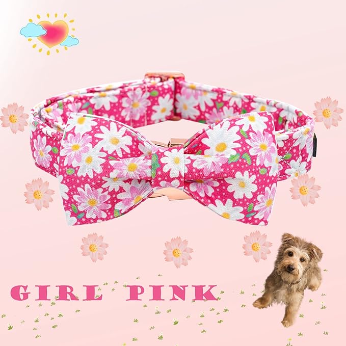 Elegant Little Tail Pink Floral Girl Dog Collar with Bow - Adjustable X-Small Puppy Collar Gift