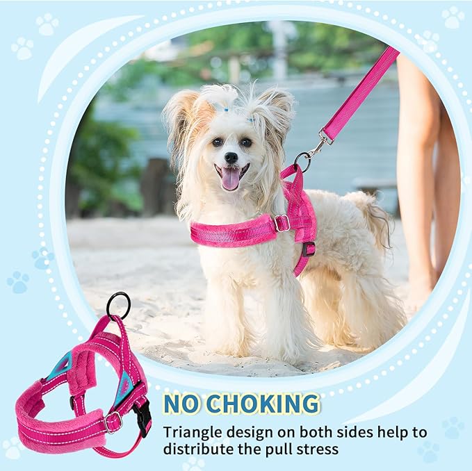 SlowTon No Pull Small Dog Harness and Leash Set, Puppy Soft Vest Harness Neck & Chest Adjustable, Reflective Lightweight Harness & Anti-Twist Pet Lead Combo for Small Medium Dogs(FU,M)