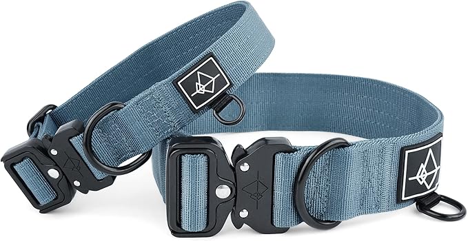 Made to ROAM Premium Dog Collar - Adjustable Heavy Duty Nylon Collar with Quick-Release Metal Buckle (California Horizon, Classic Size 3)
