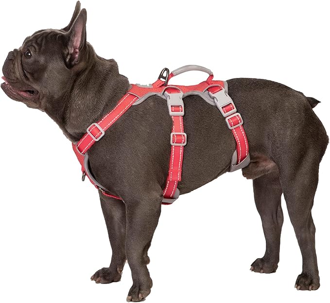 Escape Proof Dog Harness, Secure Dog Harness No Escape, Fully Reflective Harness with Handle, Breathable, Durable, Adjustable Vest for Medium Dogs Walking,and Running Gear (Red,M)