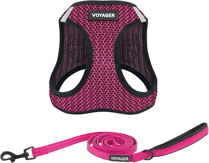 Voyager Step-in Air All Weather Mesh Harness and Reflective Dog 5 ft Leash Combo with Neoprene Handle, for Small, Medium and Large Breed Puppies by Best Pet Supplies - Fuchsia (2-Tone), M