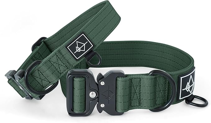 Made to ROAM Premium Dog Collar - Adjustable Heavy Duty Nylon Collar with Quick-Release Metal Buckle (Maine Marina, Classic Size 2.5)