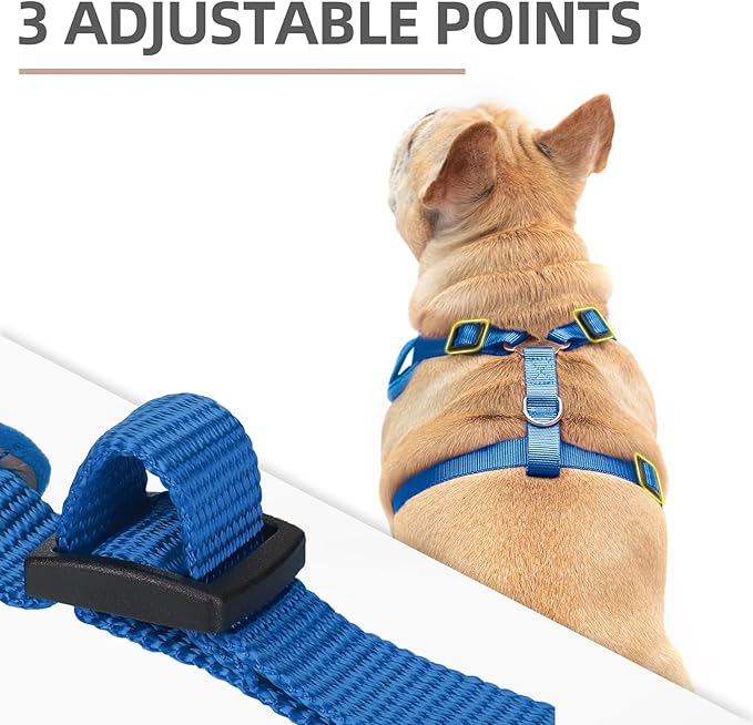 PUPTECK Dog Harness and Leash Set for Small Medium Dogs No Pull, Soft Mesh Adjustable Puppy Cat Harness Reflective at Night, Deep Blue S