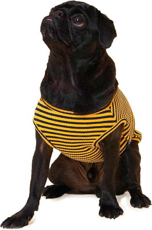 Little Beast Dog Clothes - Pet Clothes for Large, Medium, and Small Dogs (Dog Shirts Come in Multiple Colors and Styles) - Size: X-Large Dogs, Black/Yellow