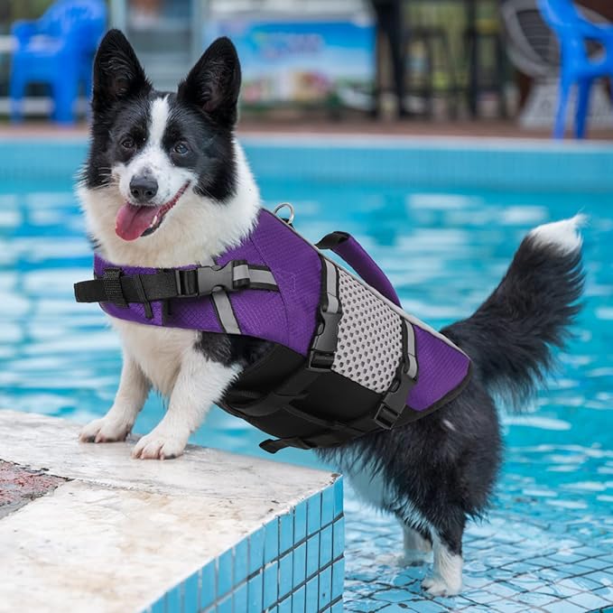 Queenmore Dog Life Jacket Swimming Vest Lightweight High Reflective Pet Lifesaver with Lift Handle, Leash Ring Purple,XS