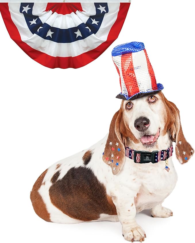 Lionheart glory American Flag Dog Collar-4 of July Patriotic Independence Day Dog Collar Heavy Duty Adjustable Dog Collars for Medium Dogs Pet Gift Summer Collars