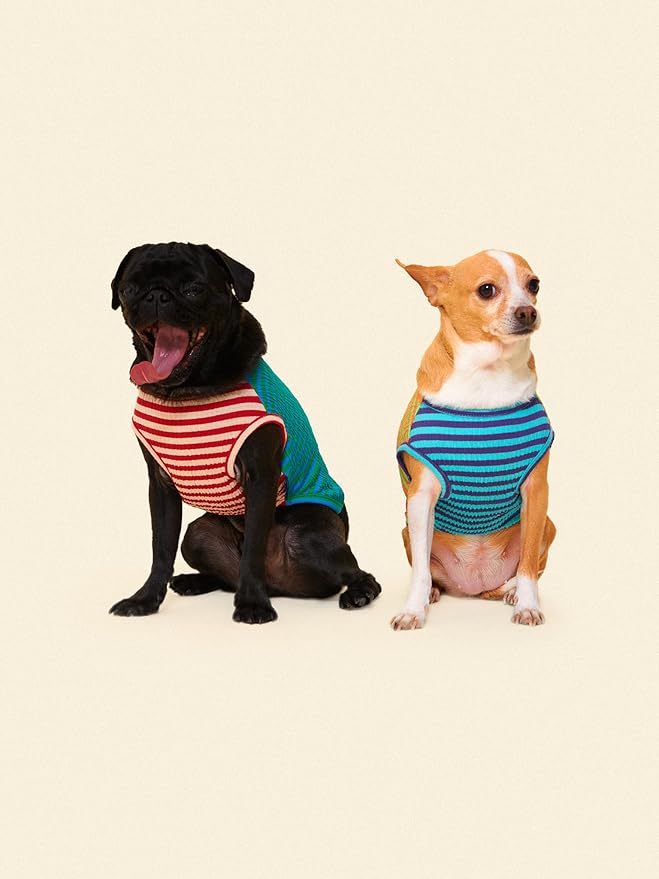 Little Beast Dog Clothes - Pet Clothes for Large, Medium, and Small Dogs (Dog Shirts Come in Multiple Colors and Styles) - Size: X-Large Dogs, Green/Blue