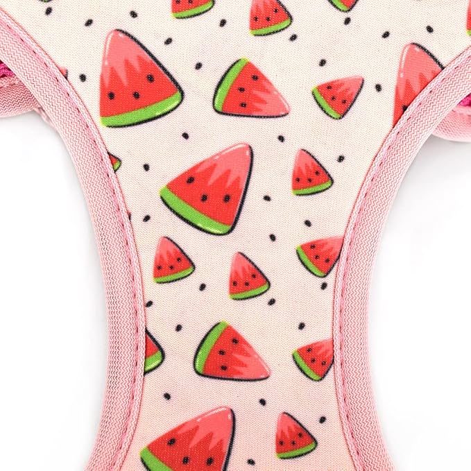 Dog Harness and Leash Set, Adjustable Dog Harness, Dog Leash, No Pull No Choke Puppy Harnesses for Walking Training for Small, Medium, Large Pet