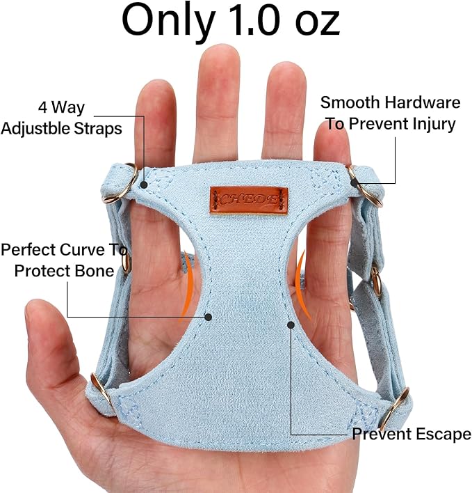 No Pull Dog Harness- Lightweight, Soft, Adjustable Small Harness Collar and Leash Set, Suitable for Cats Puppy Small and Medium-Sized Dog Outdoor Training and Running (Blue, XXS)