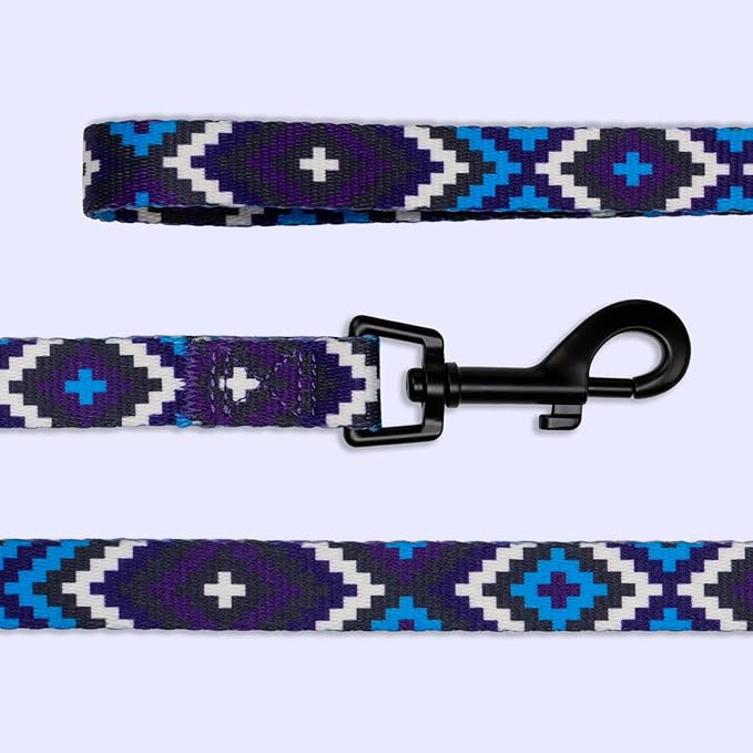 CollarDirect Aztec Dog Leash Nylon Tribal Pattern Cat Pet Leashes for Small Medium Large Dogs Puppy Lead 5 FT Long for Walking (Pattern 2, S, New)