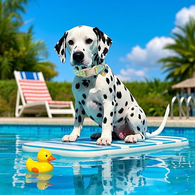 DOGWONG Duck Cotton Dog Collar, Summer Cute Dog Collar Durable Soft Beachy Pet Dog Collars Puppy Necklace for Small Medium Large Dogs