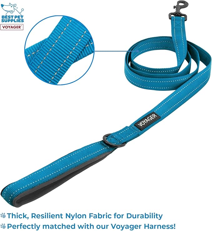Voyager Step-in Air All Weather Mesh Harness and Reflective Dog 5 ft Leash Combo with Neoprene Handle, for Small, Medium and Large Breed Puppies by Best Pet Supplies - Blue, X-Small