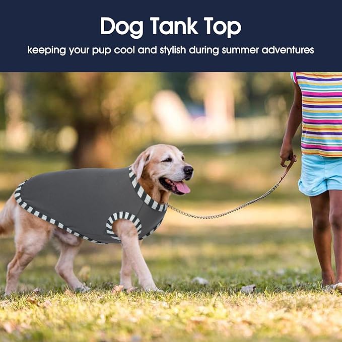 IECOii 2 Pack Dog T-Shirts,Stretchy & Comfortable Pet Summer Tank Top Clothes,Fade-Resistant, Easy to Put On – Machine Washable Tshirts for Medium Breeds Dogs,Grey+Blue,XLarge