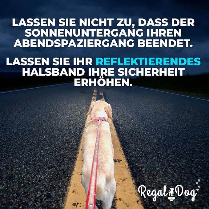 Regal Dog Products Large Orange Reflective Dog Collar and Leash Set - Waterproof Biothane Dog Collar with Heavy Duty Double Buckle, D Ring & 5ft Leash - Other Size for Medium & Large Dogs