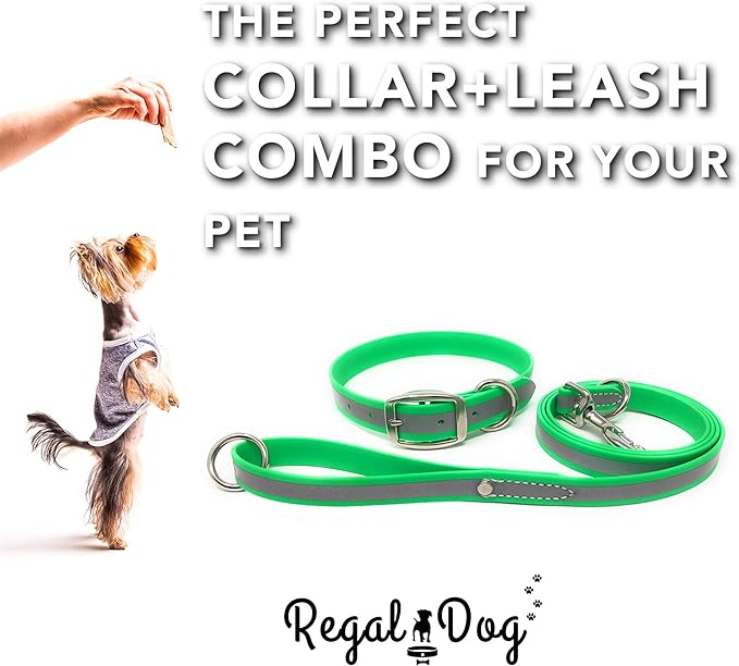Regal Dog Products Large Lime Green Reflective Dog Collar and Leash Set - Waterproof Biothane Dog Collar with Heavy Duty Double Buckle, D Ring & 5ft Leash - Other Size for Medium & Large Dogs