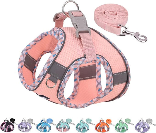 AIITLE Dog Harness and Leash Set - Ultra-Comfortable XXS-XL Vest with Strong Velcro & Glow-in-Dark Reflective Strips, Chafe-Free for Teddy, Schnauzer (Pink, M)
