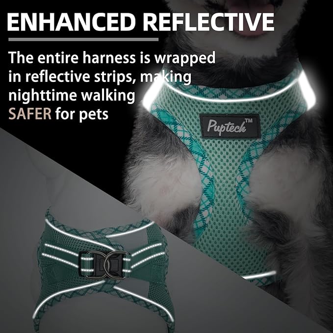 PUPTECK Dog Harness and Leash Set for Small Medium Dogs No Pull Step-in Soft Mesh Puppy Cat Vest Harnesses Reflective at Night, Upgraded New Green S
