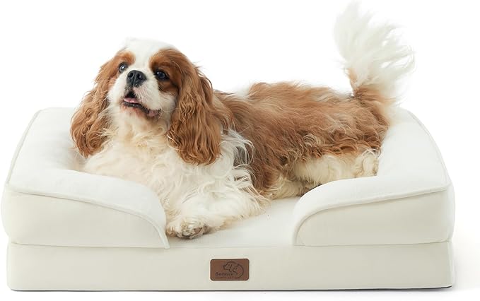 Bedsure Orthopedic Dog Bed for Medium Dogs - Waterproof Dog Sofa Beds Medium, Supportive Foam Pet Couch Bed with Removable Washable Cover, Waterproof Lining and Nonskid Bottom, Ivory