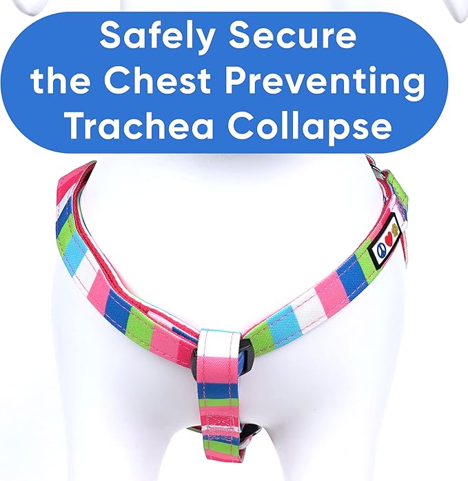 Pawtitas Pet Adjustable Solid Color Step in Puppy/Dog Harness 6 feet Matching Collar and Harness Sold Separately Extra Small Pink/Blue/Teal/Green Multicolor