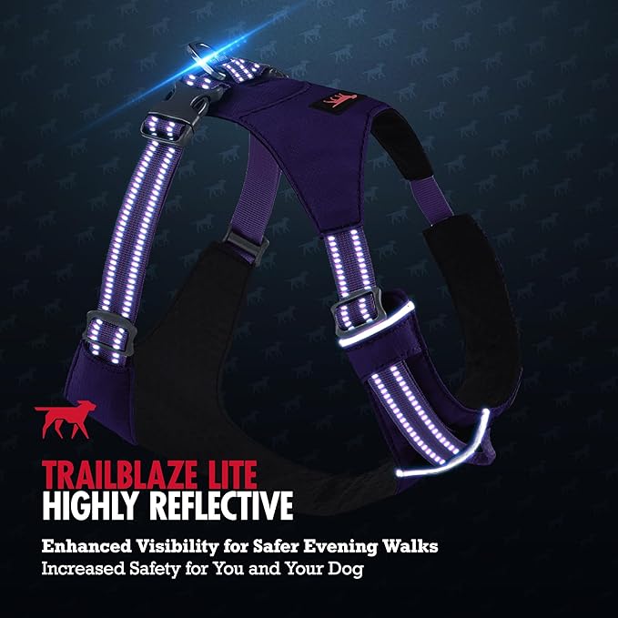 Tuff Pupper Lightweight Dog Harness for Walking | Front & Back Leash Clips | 4-Way Adjustable Fit | Reflective Trim | Easy On/Off Buckles | Lightweight & Breathable | No Pull Design (XXXS, Purple)