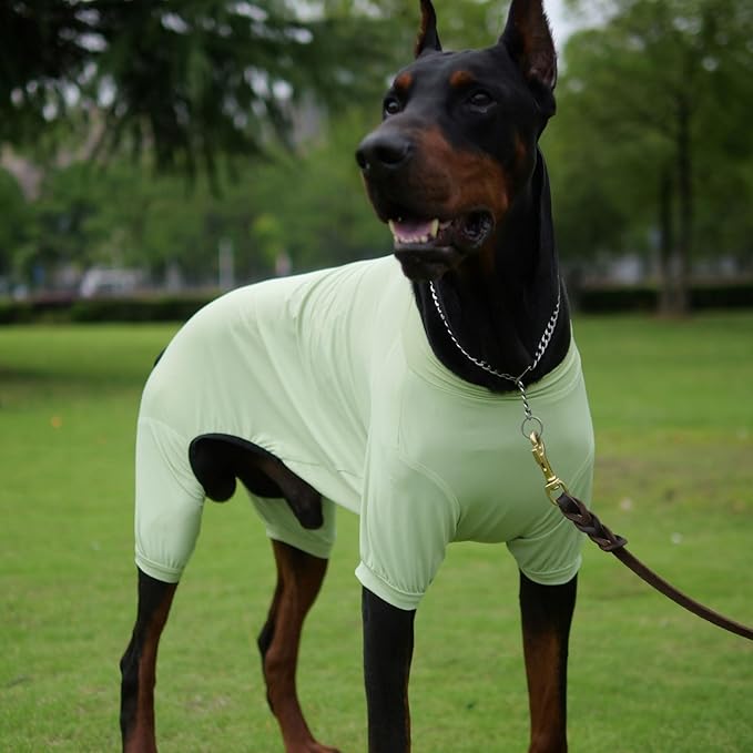 LoveLongLong Dog Jumpsuit with UV Protection and Quick-Dry Fabric for Spring Summer Pet Pajamas Light Green XL