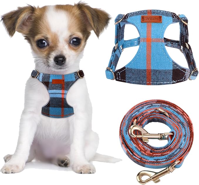CHEDE No Pull Puppy Harness and Multifunction Dog Leash Set- 8 Colors Soft Adjustable No Choke Escape Proof Cute,Lightweight Pet Vest Harness for Small and Medium Dog (XXS, Blue Grid)
