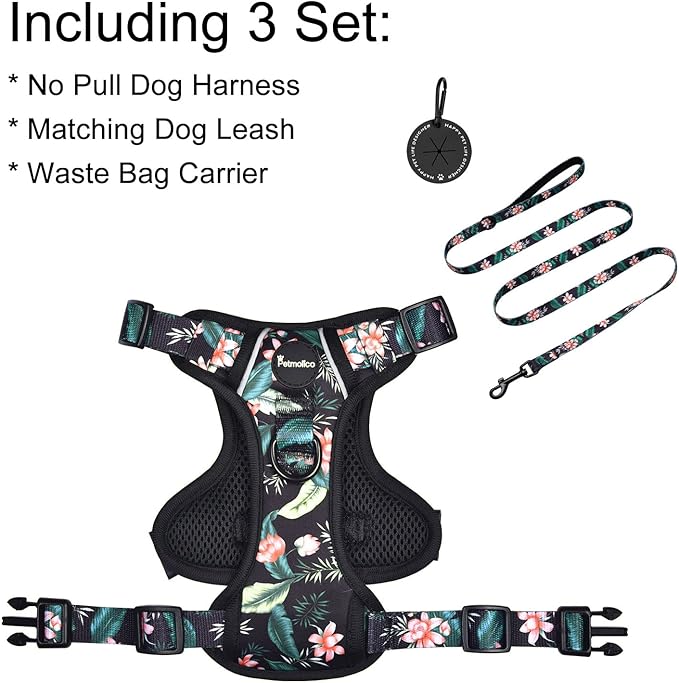 Petmolico Dog Harness for Small Dogs, Cute Harness Vest with Two Leash Clips and Soft Handle, Reflective Easy Walk Puppy Vest - Black Lotus, Small
