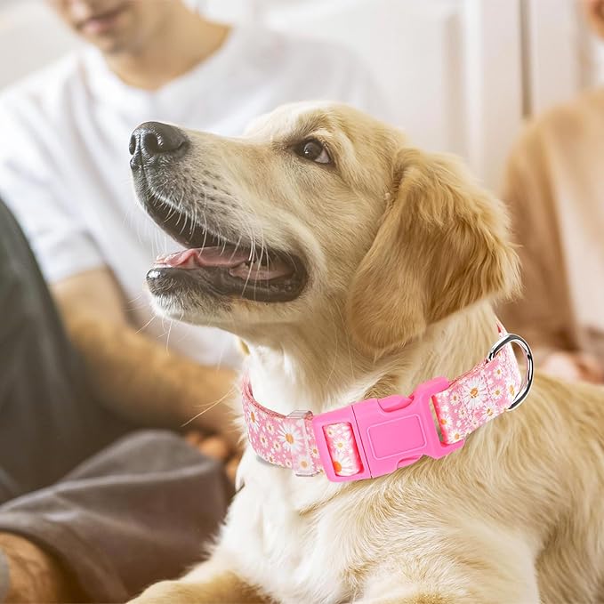 Pink Dog Collars for Small Dogs, Girl Dog Collars with Hot Daisy Flowers, Adjustable Comfy Soft Pet Collar with Safety Buckle for XS Small Medium Large Dogs(S)