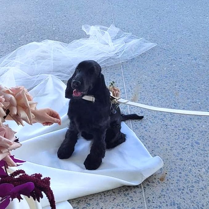 Soft Corduroy Dog Collar and Leash Set, Adjustable Cotton Dog Collars with Metal Buckle and Lead for Small Dogs,Beige