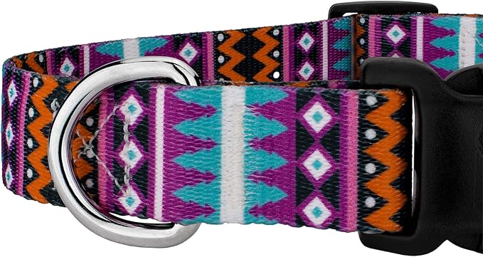 Country Brook Petz - Deluxe Santa Fe Dog Collar - Made in The U.S.A. - Country and Western Collection Featuring Rustic Designs (1 Inch, Medium)