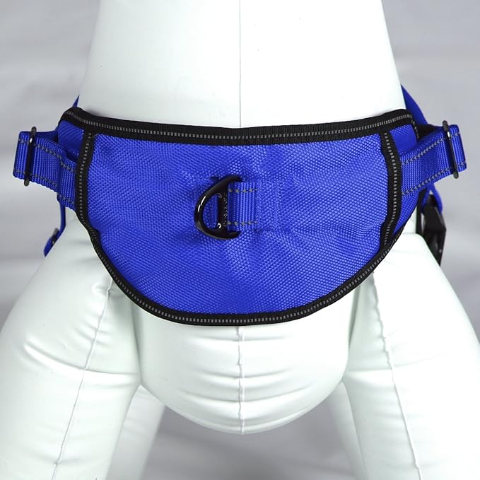 Max and Neo Passport Reflective Dog Harness - We Donate a Harness to a Dog Rescue for Every Harness Sold (X-Large, Blue)