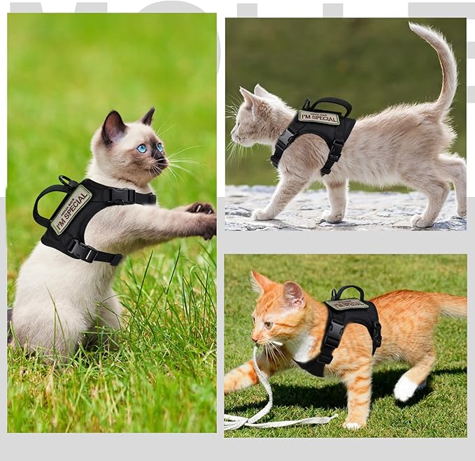 Tactical Cat Harness for Walking Escape Proof, Soft Mesh Adjustable Pet Vest Harness for Large Cat,Small Dog (Medium, Black)