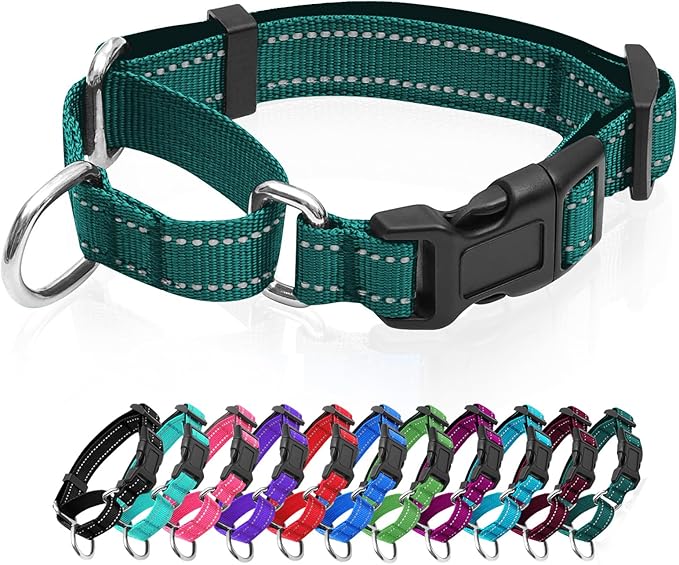Reflective Martingale Dog Collars. Dog Collar with Quick Release Buckle. Adjustable Soft Padded Breathable Nylon Pet Collar Suitable for Puppies for Small Medium Large Dogs.