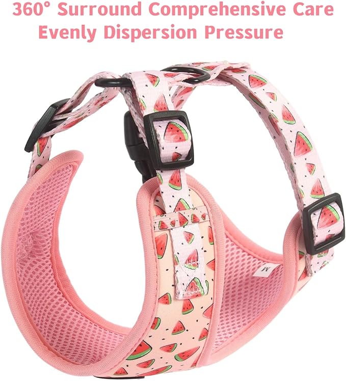 Coowone Dog Harness and Leash Set, Adjustable Puppy Harness and Soft Padded Dog Vest Harness for Small Medium Large Dogs