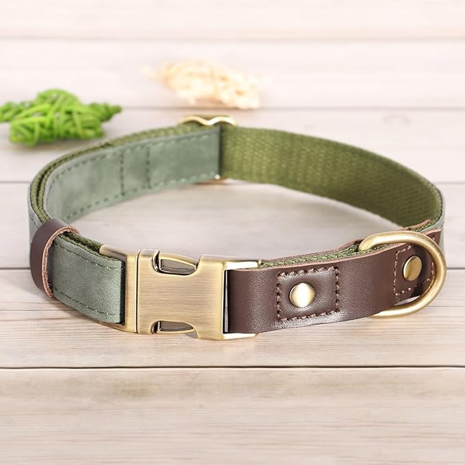 Didog Soft Padded Leather Dog Collars for Medium Dogs, Classic Heavy Duty Dog Collars Adjustable with Quick Release Metal Buckle,Green,M Neck 13-19"