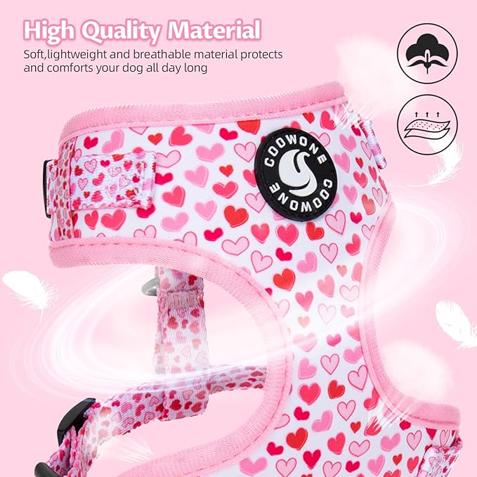 Dog Harness and Leash Set, Adjustable Dog Harness, Dog Leash, No Pull No Choke Puppy Harnesses for Walking Training for Small, Medium, Large Pet (Little Love, M(Chest 17.7-23.1", Neck 13.4-16.4"))