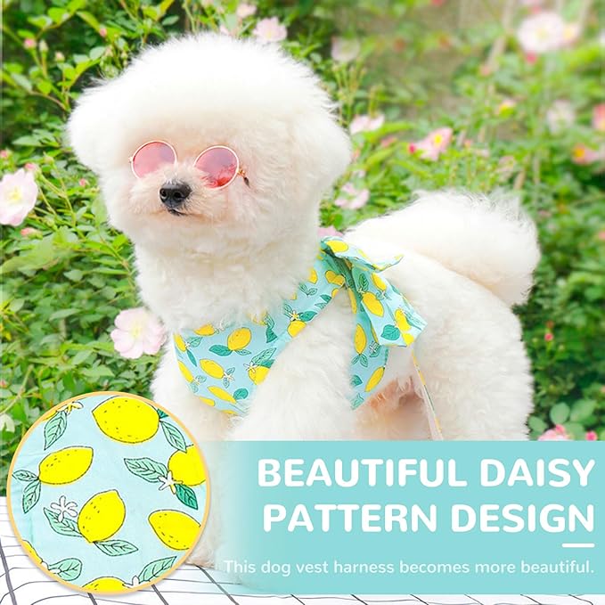 BAEJMJK Dog Harness and Leash Set with Bow Knot No Pull Pet Daisy Floral Harness with D-Ring Soft Mesh Dog Harness Vest Set Escape Proof Princess Puppy Harness for Small Girl Dogs Cats（Green XS）