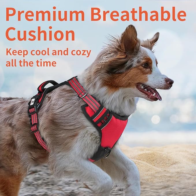 Dog Harness, No-Pull Pet Breathable Harness, Adjustable Soft Padded Dog Vest with 2 Leash Clips, Reflective No-Choke Pet, Easy Control Handle for Large Dogs, Red, L