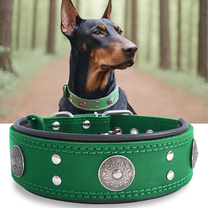 Leather Dog Collar, 2 inches Wide Heavy Duty Genuine Leather Collars, Handmade, Soft, and Luxury, Eye-catching Best Choice for Large and Medium Breed Dogs, Green 22.5-26.5 inches
