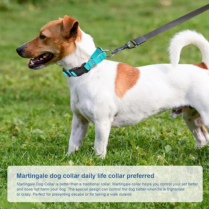 Reflective Martingale Dog Collars. Dog Collar with Quick Release Buckle. Adjustable Soft Padded Breathable Nylon Pet Collar Suitable for Puppies for Small Medium Large Dogs.