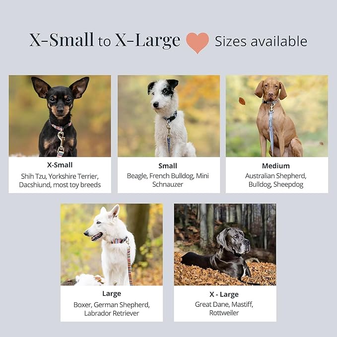 Lucky Love Dog - Easy Click Buckle Dog Collar with Leash Set Combo, Durable & Comfortable for Male & Female Dogs, Pet Collar for Small to Large Dogs, Secure Fit - Mackey Combo, XS