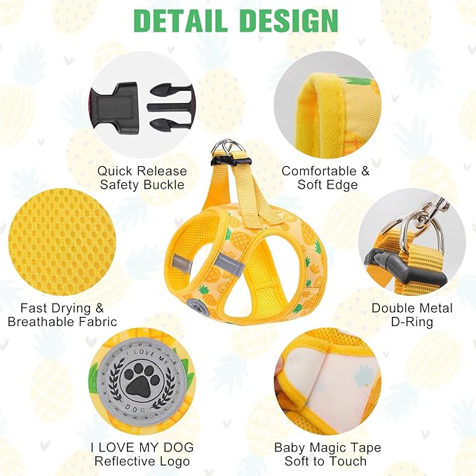 BEAUTYZOO Step in Dog Harness and Leash Set,Reflective Dog Harness No Pull No Choke Puppy Harness for Small Medium Large Dogs Cats,Soft Padded Mesh Vest Harnesses for Girl and Boy Pets, Pineapple M