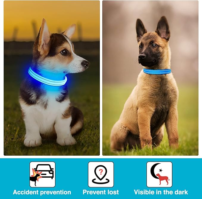 Light Up Dog Collar at Night, Led Dog Collar Adjustable, Lighted Dog Collar Rechargeable Waterproof, Dog Lights for Night Walking, Glow in The Dark Dog Collars Light for Small Pet (S, Blue)