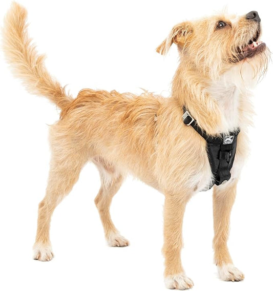 Kurgo Enhanced Strength Tru-Fit Smart Dog Harness, Black, Small - Crash Tested Car Safety Harness for Dogs, No Pull Dog Harness, Includes Pet Safety Seat Belt Tether