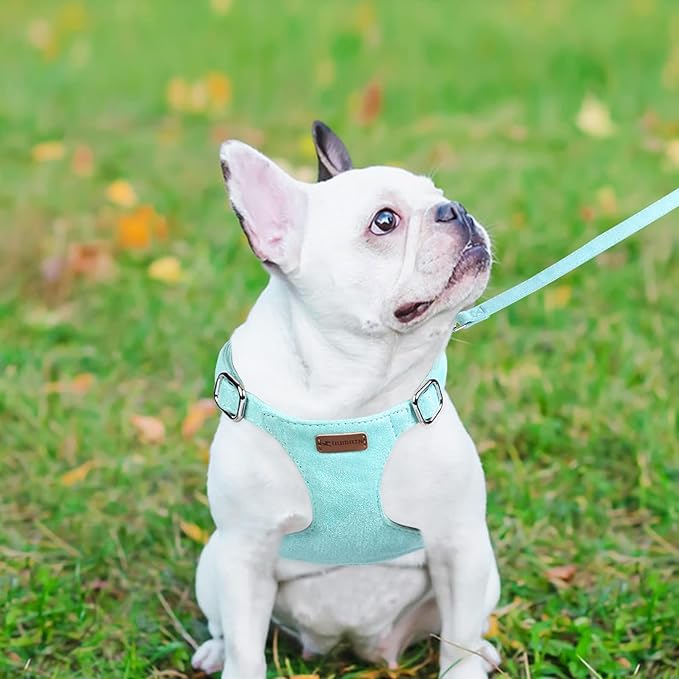 Dog Harness and Leash Set, XXS No Pull Adjustable Puppy Harness with Multifunction Pink Dog Leash and Dog Collar, Soft No Choke Escape Proof Pet Harness Vest for Small Dogs and Cats (Mint Green, M)