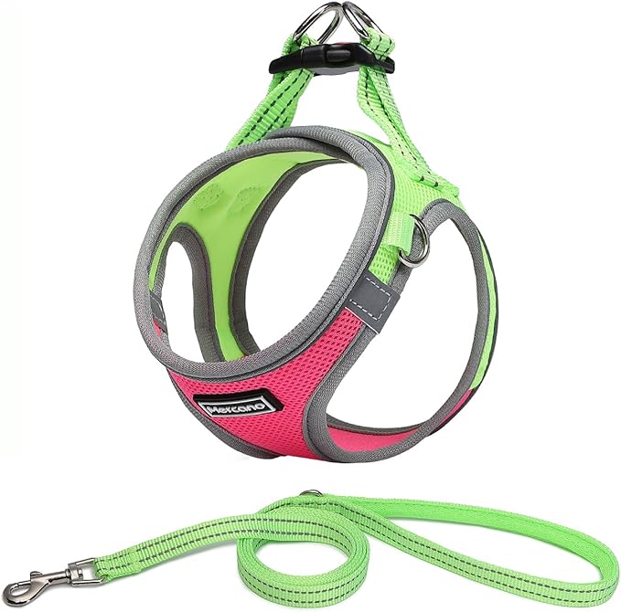Mercano Soft Mesh Dog Harness and Leash Set, No-Chock Step-in Reflective Breathable Lightweight Easy Walk Vest Harnesses with Safety Buckle for Small Dogs, Cats (XL, Hot Pink)